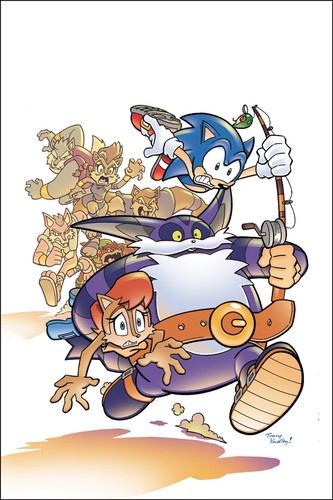 Sonic The Hedgehog #213