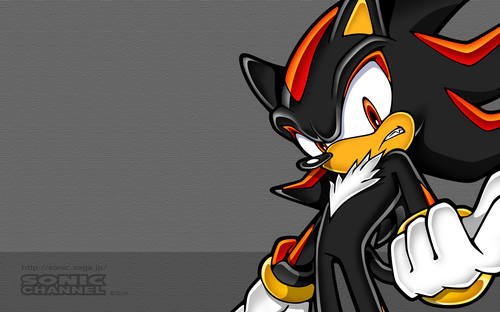 2005/11 - Shadow The Hedgehog