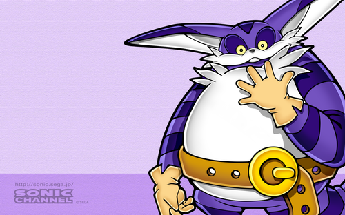 2006/02 - Big The Cat