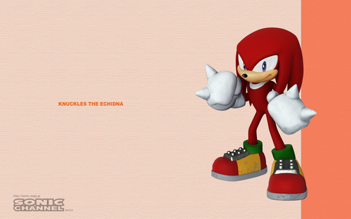 2007/09 - Knuckles The Echidna