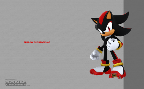 2007/11 - Shadow The Hedgehog