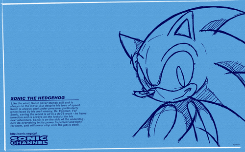 2008/01 - Sonic The Hedgehog