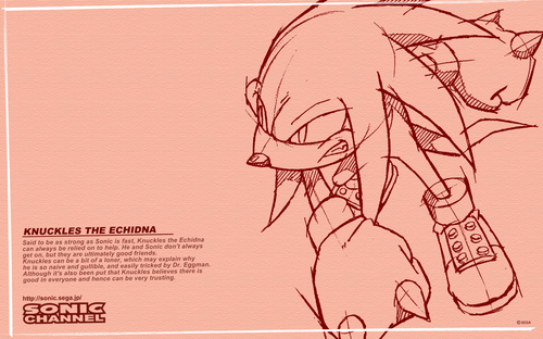 2008/03 - Knuckles The Echidna