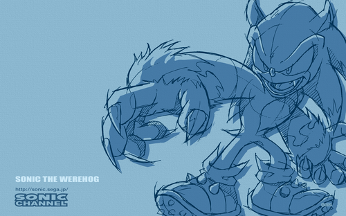 2009/01 - Sonic The Werehog