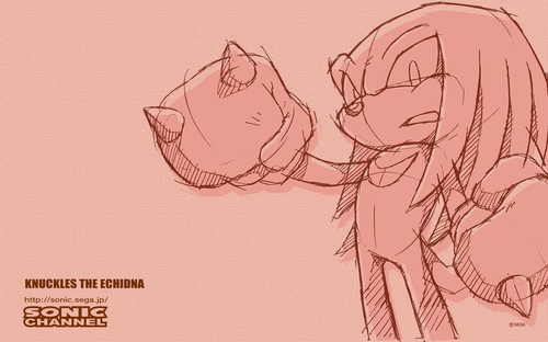 2009/05 - Knuckles The Echidna