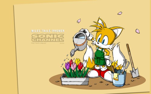 2013/04 - Miles "Tails" Prower