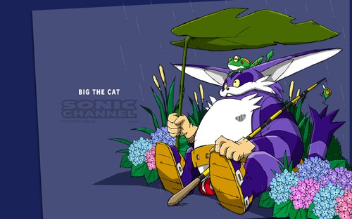 2013/06 - Big the Cat