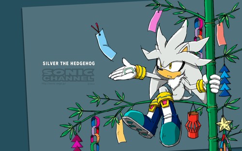 2013/07 - Silver the Hedgehog