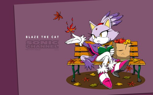 2013/11 - Blaze the Cat