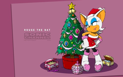 2013/12 - Rouge the Bat