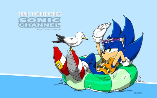 2015/07 - Sonic the Hedgehog & seagull