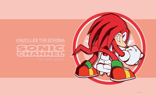 2018/08 - Knuckles The Echidna