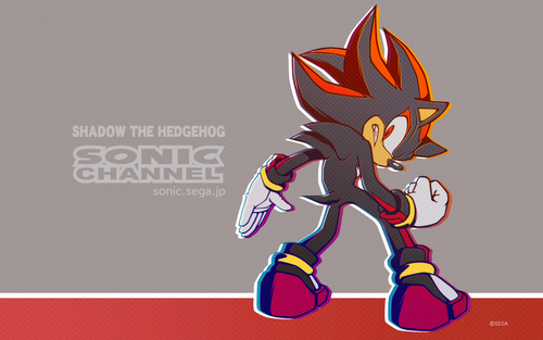 2020-10 Shadow The Hedgehog