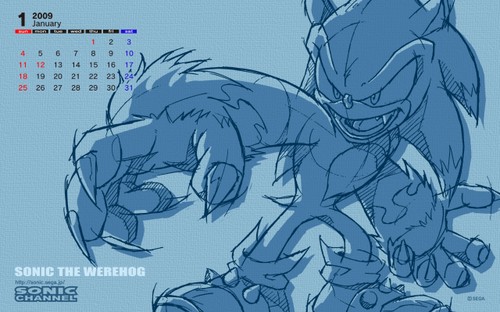 2009/01 - Sonic the Werehog