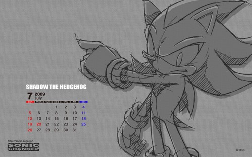 2009/07 - Shadow the Hedgehog