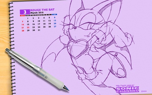 2010/03 - Rouge the Bat