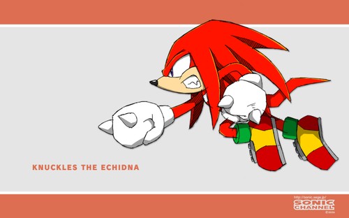 2011/04 - Knuckles the Echidna