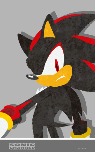 2017/03 - Shadow the Hedgehog