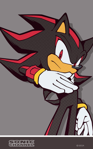 2018/03 - Shadow the Hedgehog