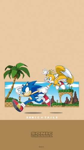2021-01 Sonic & Tails