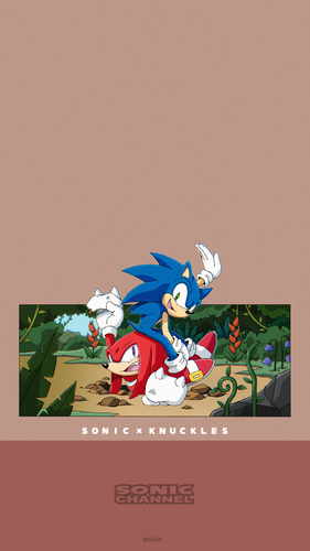 2021-02 Sonic & Knuckles