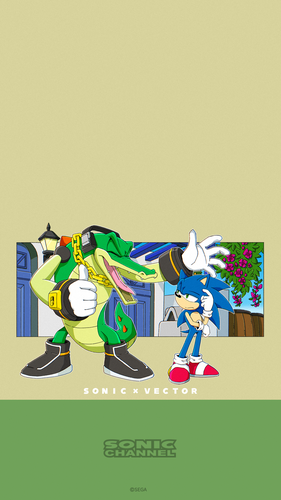 2021-04 Sonic & Vector