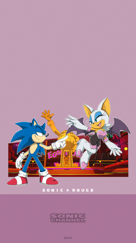 2021-08 Sonic & Rouge