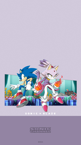 2021-11 Sonic & Blaze