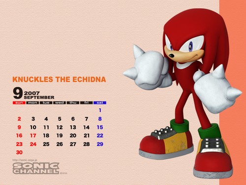 2007/09 - Knuckles the Echidna