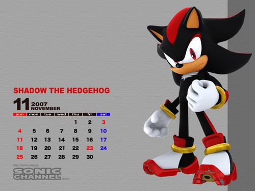 2007/11 - Shadow the Hedgehog 