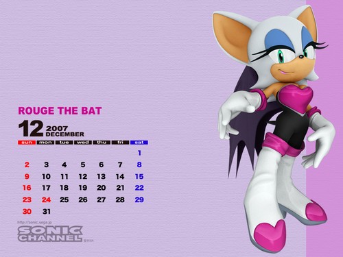 2007/12 - Rouge the Bat