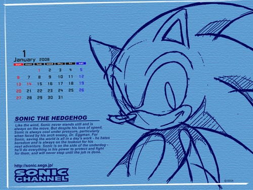 2008/01 - Sonic the Hedgehog