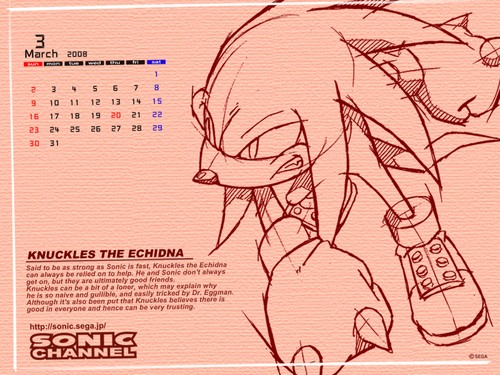 2008/03 - Knuckles the Echidna