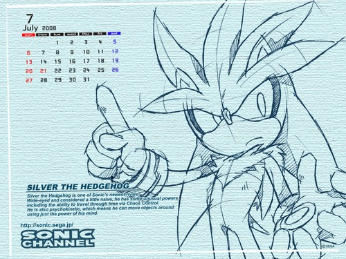 2008/07 - Silver the Hedgehog