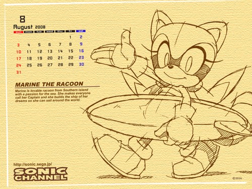 2008/08 - Marine the Raccoon