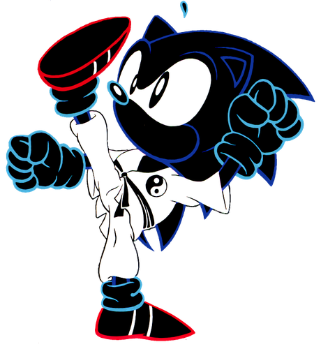 Sonic Extreme