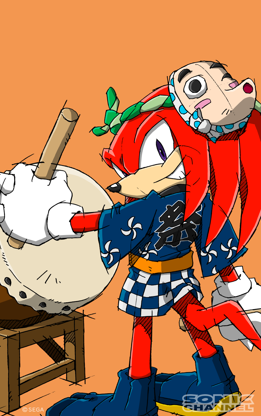 Knuckles The Echidna And Sonic
